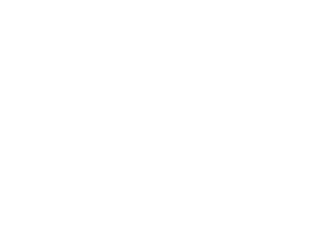 qlik-logo